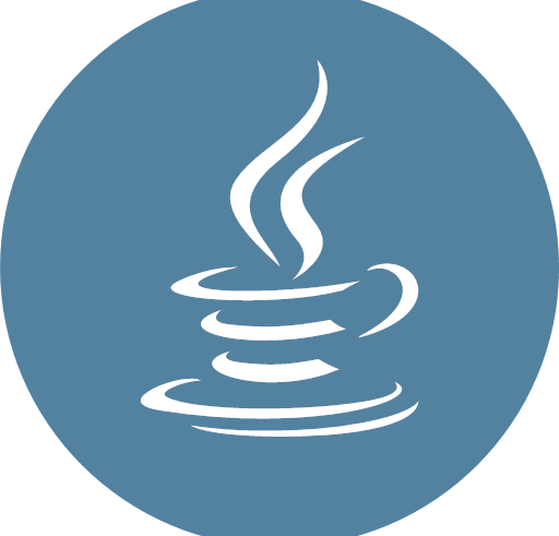 Custom JavaScript program